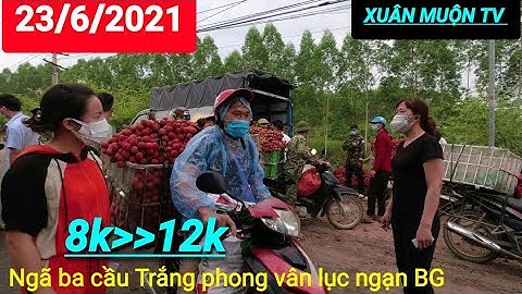 vải thiều hôm nay 23/6/ tại chợ vải thiều cầu Trắng phong vân lục ngạn BG 8k đến 12k