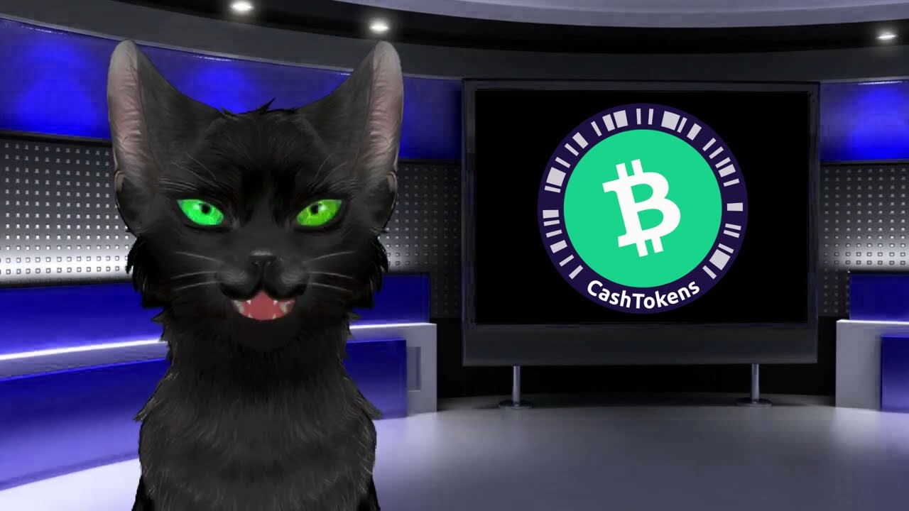 BitcoinCash Weekly News July 3 2023 By the Bitcoin Cash Foundation