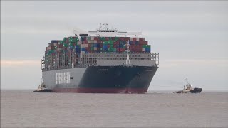 Ever Gentle arrives to the Port of Felixstowe. 3 Svitzer tugs ordered for berthing 8th February 2022