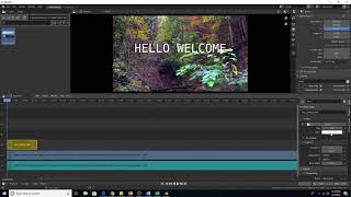 How to put text in video editing of blender 2.8