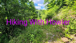 Hiking With Howler || American Dream, Finding Yourself, Adventure, and Challenges