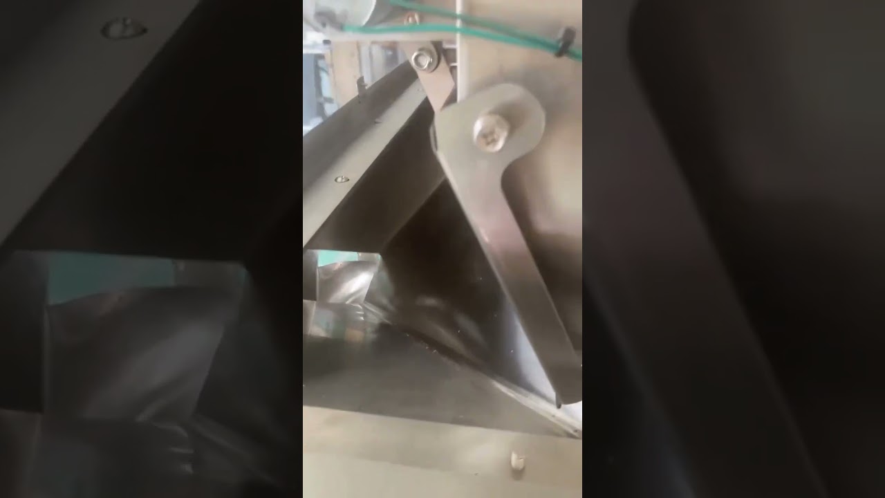 Bag packing machine with weighing filling, testing with sunflower seeds