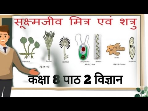 Class 8th science chapter 2 सूक्ष्मजीव मित्र एवं शत्रु। - YouTube