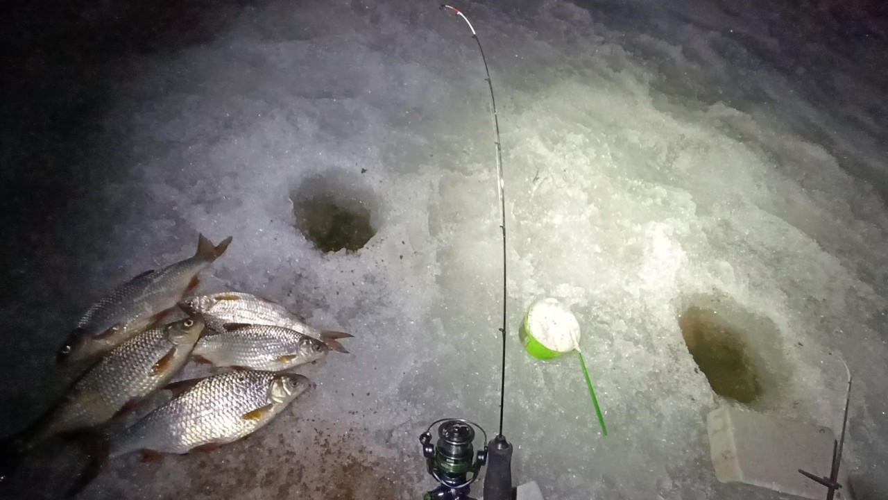 Київ 🏬🏢 7-й РОП затока Берковщина ⚓  Лід 40 см. Ловимо плітку