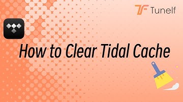 How to Clear Tidal Cache on iPhone/Android/PC | Tunelf