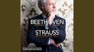 Horn Concerto No. 1 in E-Flat Major, Op. 11, TrV 117: I. Allegro (Live)