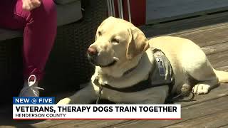 Veterans and therapy dogs train together
