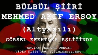 Görsel Efektler Ile Bülbül Şi̇i̇ri̇ Güncel Altyazılı - Mehmed Aki̇f Ersoy