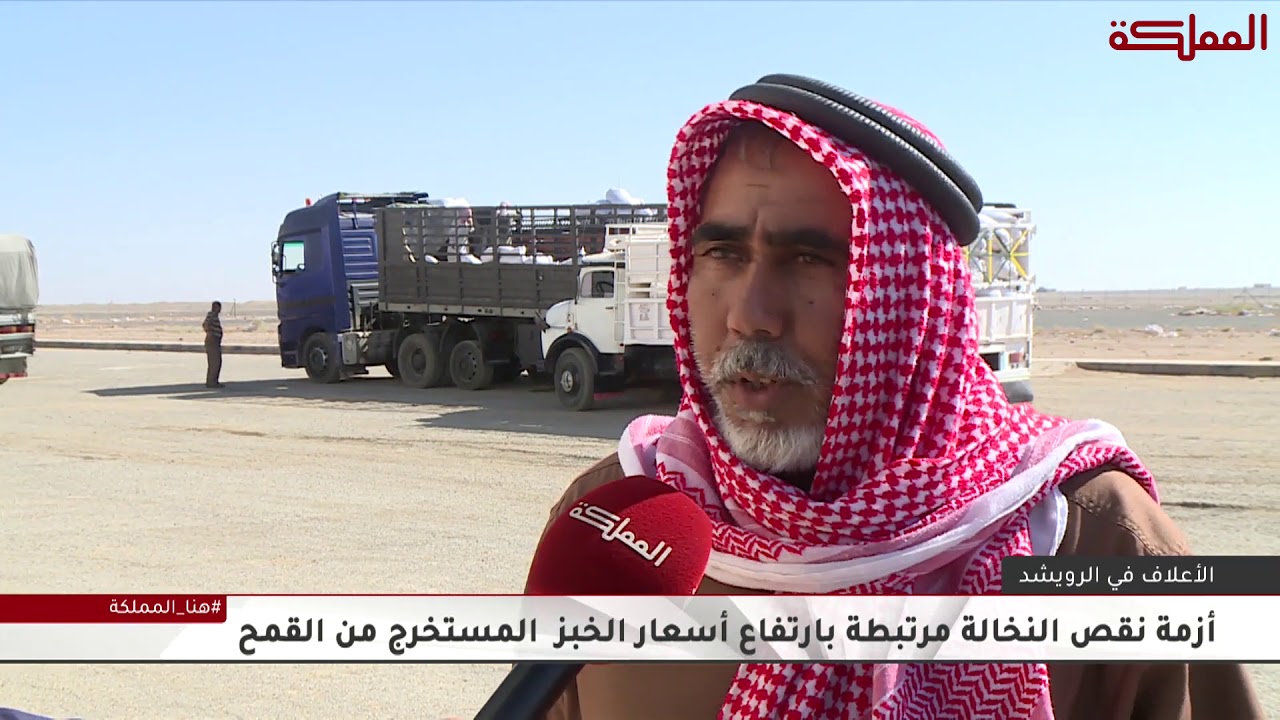 الأعلاف في الرويشد