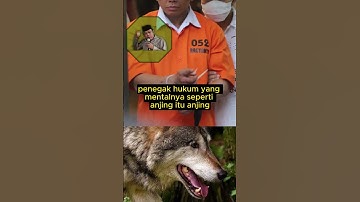 Penegak hukum bermental anjing - KH. Zainuddin MZ