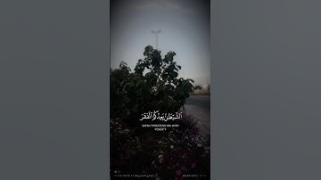 الشَّيْطَانُ يَعِدُكُمُ الْفَقْرَ وَيَأْمُرُكُم بِالْفَحْشَاءِ 😌 للقارئ/عبدالرحمن مسعد🖤🎧 #قرآن