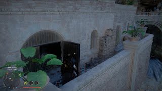 Weird door glitch