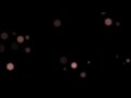 Luces Bokeh - Plantilla Gráficos Animados