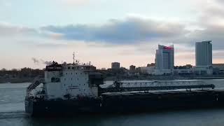 Algoma Conveyor Freighter Ship On The Detroit River | Downtown Detroit, Michigan 4K