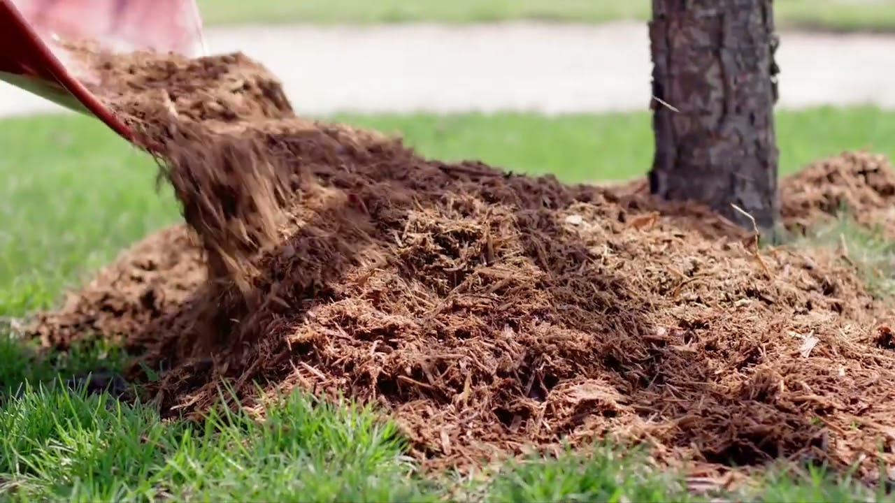 Top Mulch Companies in Carmel, Indiana - Your Guide to Quality Mulching