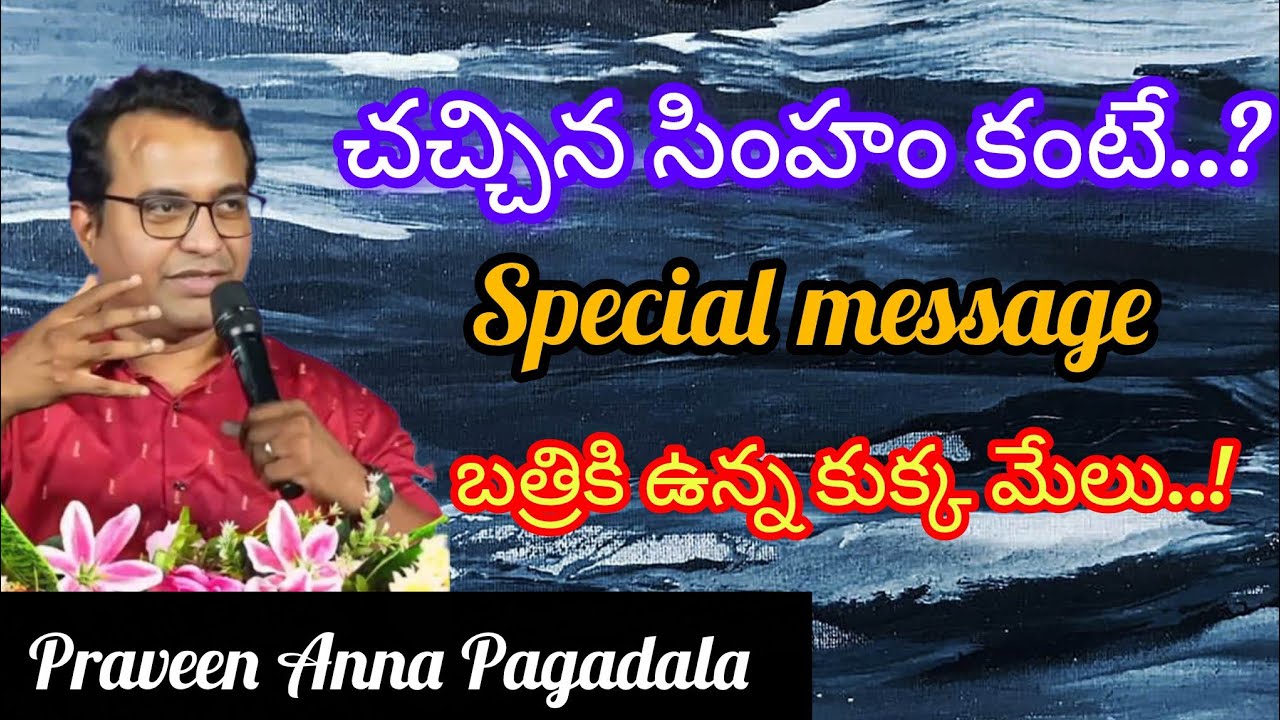 చచ్చిన సింహం కంటే బ్రతికి ఉన్న కుక్క మేలు special message Praveen Anna Pagadala