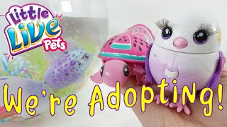 Pet Adoption Day Lil Dippers Lil Turtle Or Lil Bird? Little Live Pets Unboxing And Review