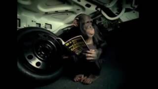 Trunk Monkey Commercials