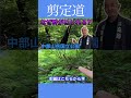 中部山岳国立公園内の植物は凄い！！ #剪定道 #植物の特性 #お出かけ #楓#植物との関わり #モミジ #ブナ #山歩き