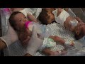 28 premature babies arrive in Egypt after evacuating Gaza&#39;s Shifa hospital