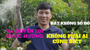 Đất không có sổ đỏ và quyền lợi được hưởng mà không phải ai cũng biết I Hà Văn Linh