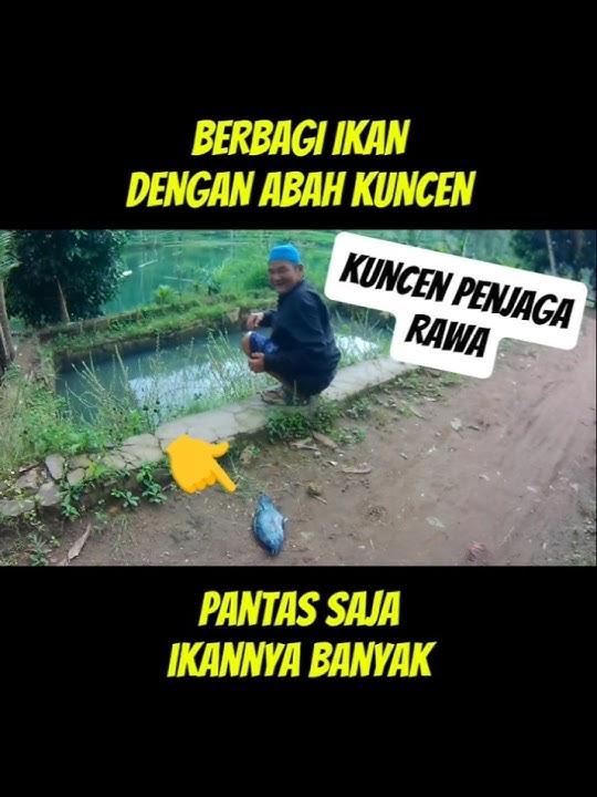 SOSOK PENJAGA RAWA ASRI IKANNYA BANYAK #ketapelikan #slingshotfishing #paserikan #viralvideo #shorts