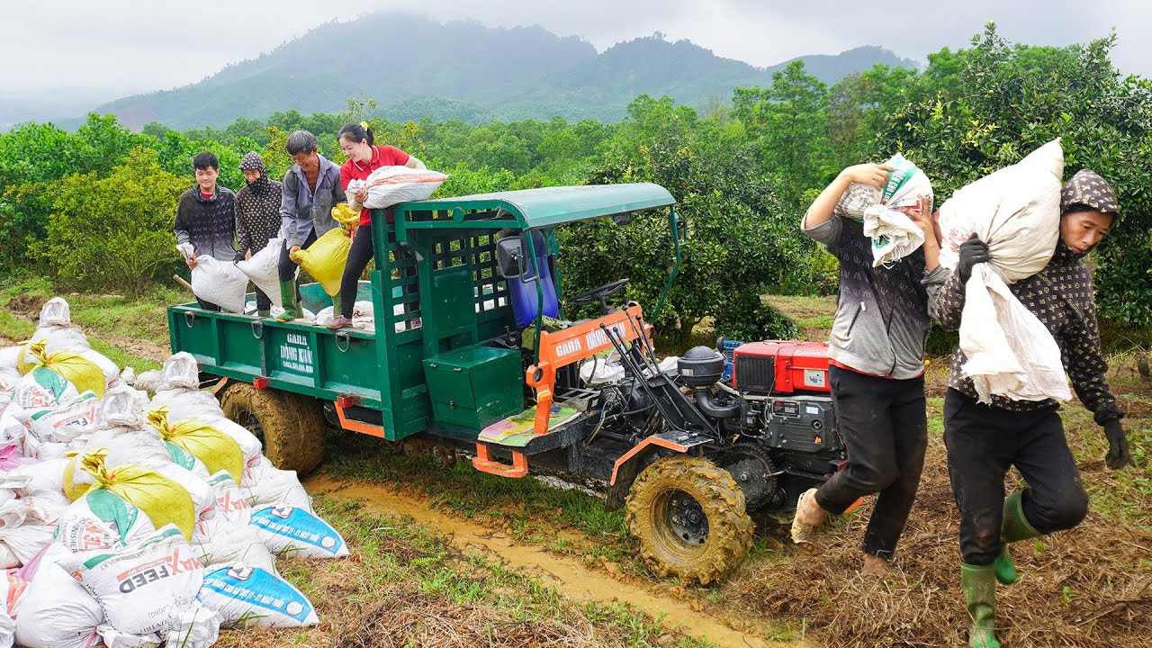Buy Orange Grove From Farmer - Use Truck To Transport Fertilizer To Take Care of Orange Garden