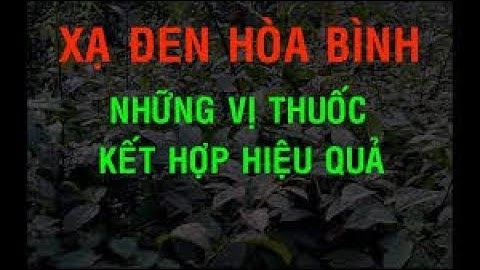 cách dùng cây xạ đen để phòng và chữa bệnh ung thư hiệu quả nhất