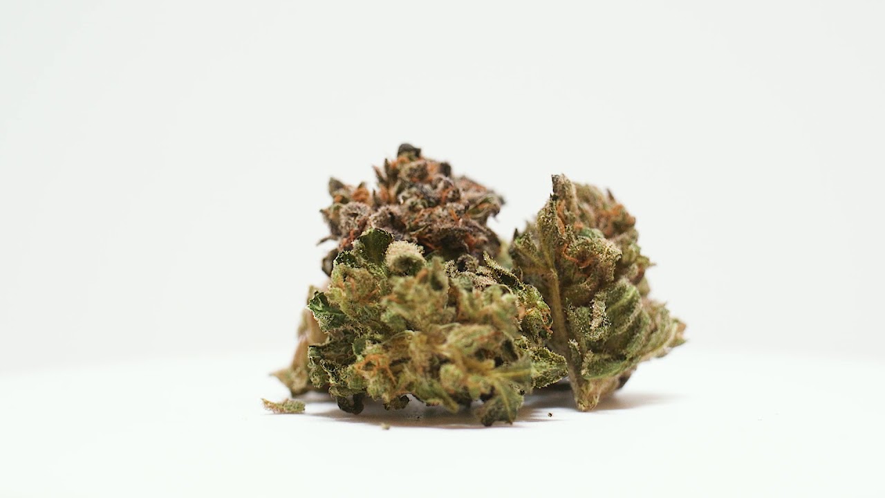 Houseplant Hybrid The Strain Reveiw YouTube