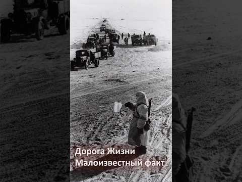 Факт, о Дороге Жизни, которого многие не знают.