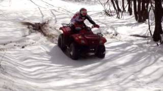 Suzuki Eiger 400 4x4 2007