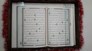 تلاوة خاشعة من سورة فصلت الأيات من (30-36)