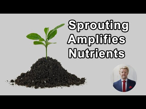 Sprouting Amplifies The Average Nutrient By 8 Times