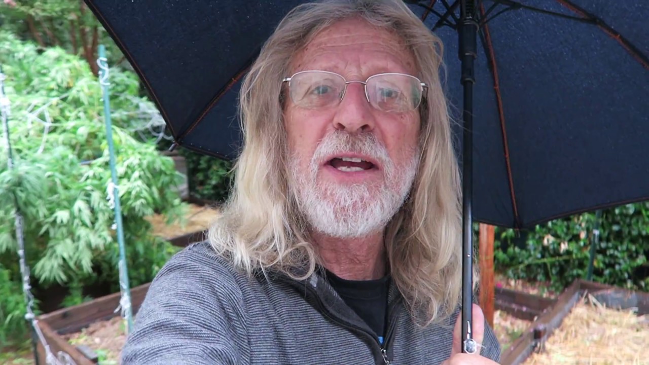 HANGING & DRYING Marijuana (Harvesting Cannabis Part 7)