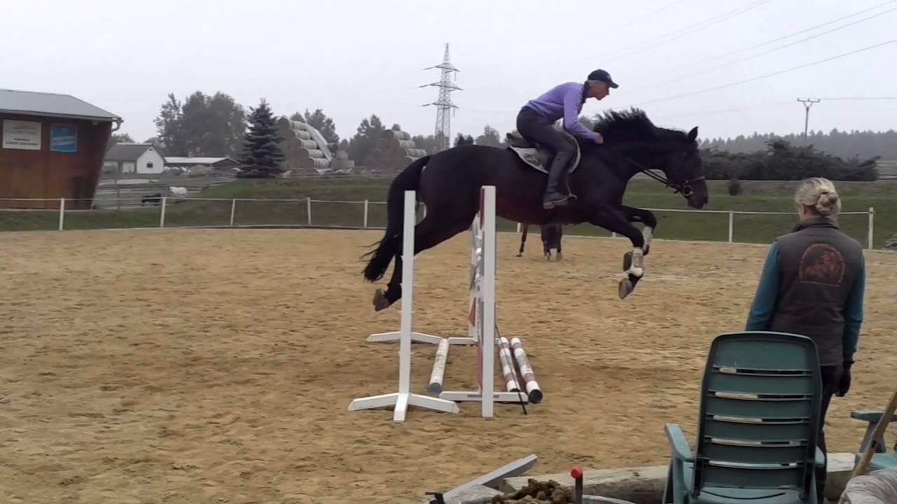 Eq horse jumping 1 YouTube