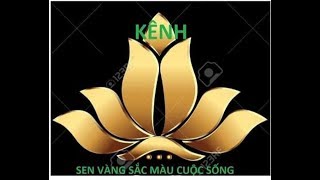 Cách làm intro và ghép nhạc đơn giảng bằng điện thoại screenshot 4