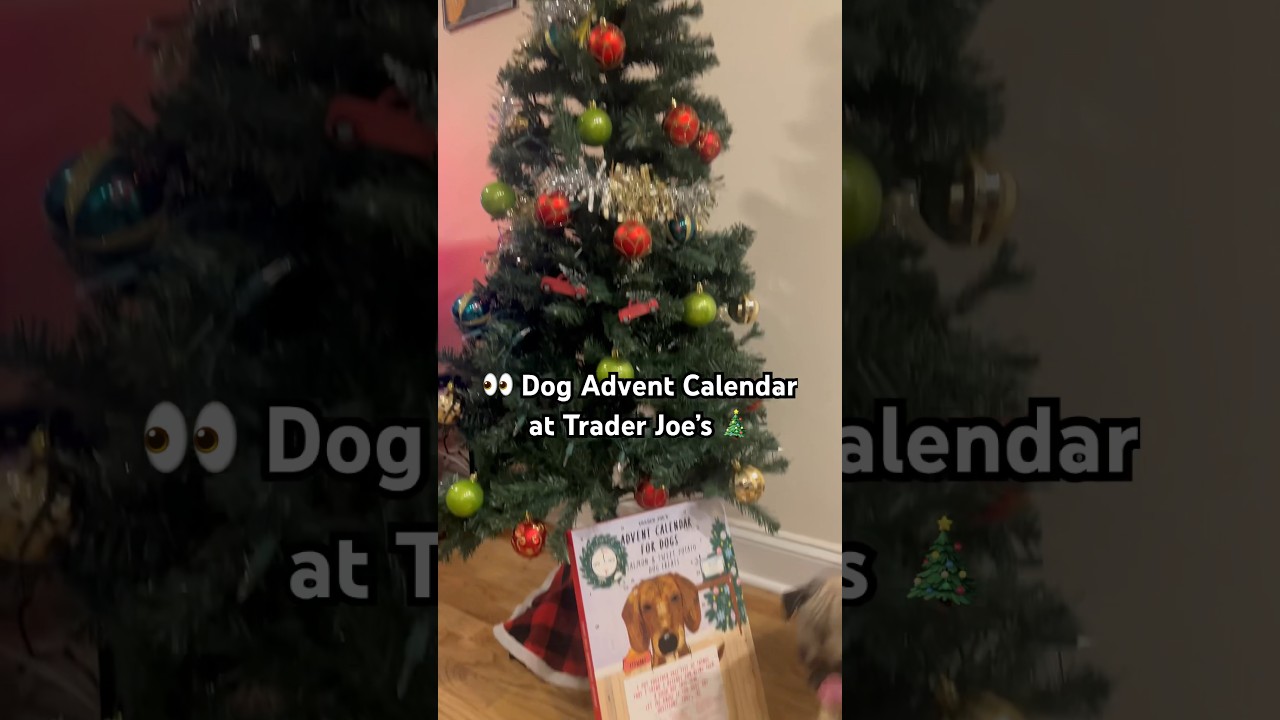 BEST HOLIDAY/CHRISTMAS GIFTS FOR DOGS 2023