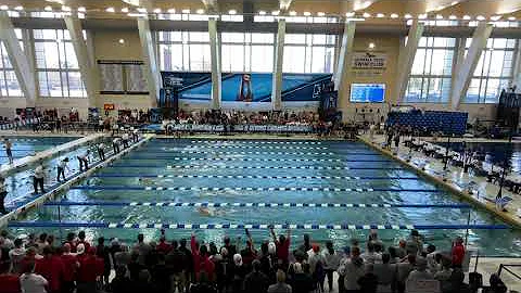 500 Freestyle 2022 NCAA Swimming Championships | Matthew Sates 4:06.6