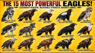15 Most Powerful Eagles in the World | Incredible Strength & Deadly Hunters🦅