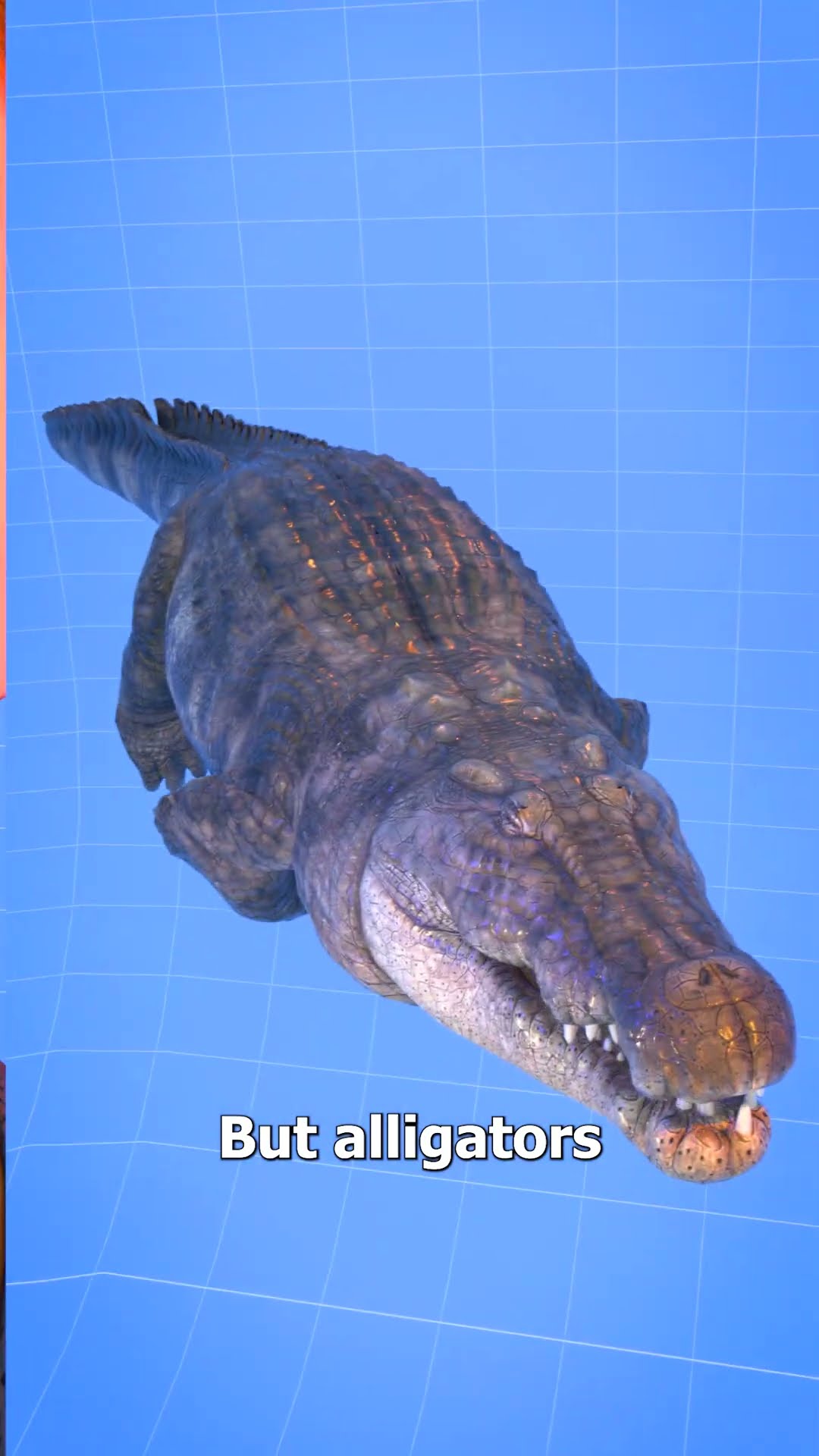 How Crocodiles Grow Back Teeth ?