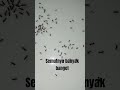 semut #semutkecil #laguanakindonesia #ant #animals #hewan #antman