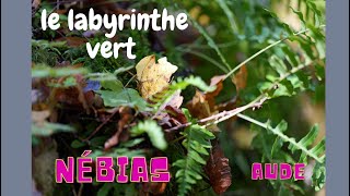 Le labyrinthe vert de Nébias ( Aude) )