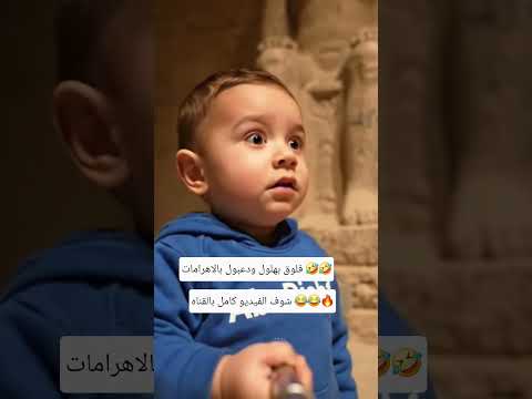 توأم الذكاء الاصطناعي بهلول ودعبول في الاهرامات اكسبلور   