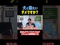 【犬しつけ】犬と寝てもいいですか?