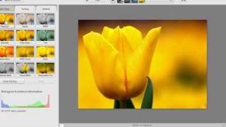 Fab Fotos via Facebook Picasa Tutorial No.1 screenshot 4