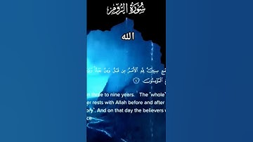 لن اطلب منك شيء فقط احترم القران الكريم ❤😊