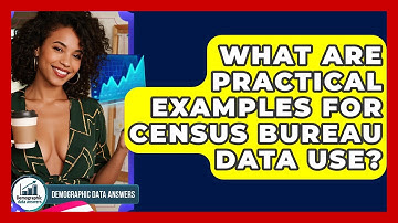 What Are Practical Examples For Census Bureau Data Use? - Demographic Data Answers