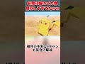新無印編のピカ様が無双しすぎてたwwwwwww 【サトシ】【ピカチュウ】#shorts