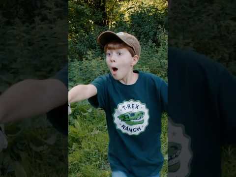 LOOK! Baby Dinosaur! | 🦖🦕 #trex #dino #trexranch