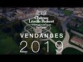 Vendanges 2019 au chteau loville poyferr   reportage